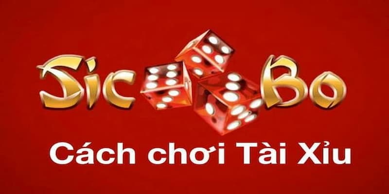 Mẹo chơi tài xỉu online